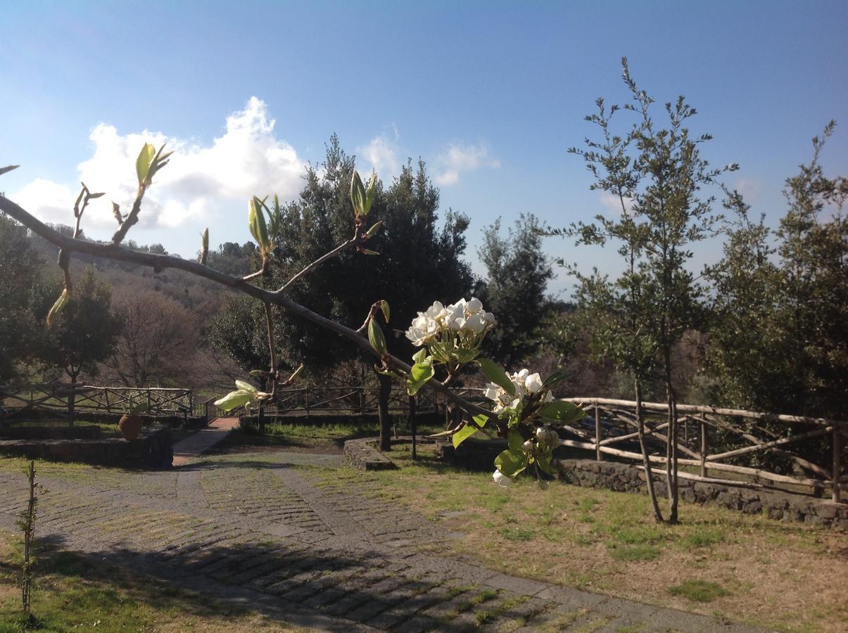 Отель Le Cisterne Dell'Etna Calcerana-Marina Экстерьер фото